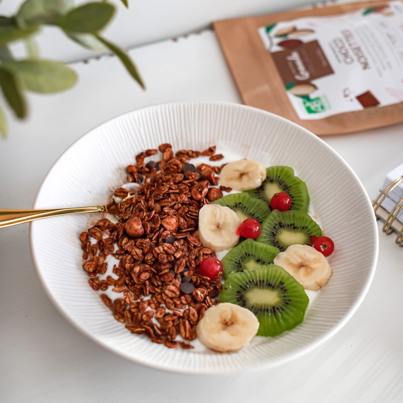 Bol de granola chocolat noisettes fève tonka bio avec des fruits (kiwi/ bananes)